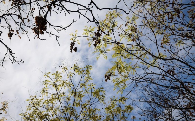 Meteorologii anunță vreme caldă, cu maxime de 17 grade, pentru următoarele zile. Apoi vin din nou ninsorile