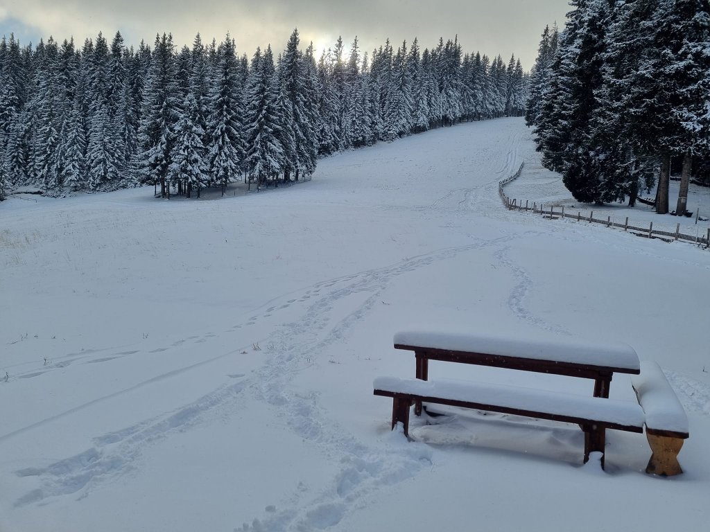 Liber la săniuș în Băișoara! A nins, vine weekendul și se deschide pârtia