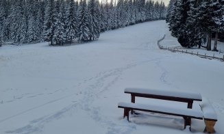 Liber la săniuș în Băișoara! A nins, vine weekendul și se deschide pârtia