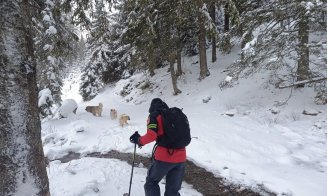 Se poate schia în Masivul Vlădeasa? Care este mesajul celor de la Salvamont Vlădeasa Cluj