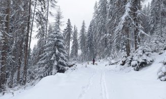 Se poate schia în Masivul Vlădeasa? Care este mesajul celor de la Salvamont Vlădeasa Cluj