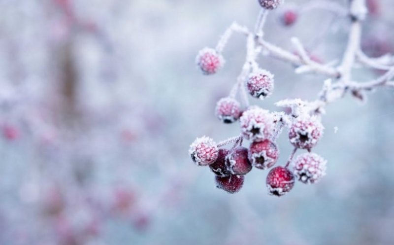 Prognoza meteo pe patru săptămâni. Cum va fi vremea de Crăciun