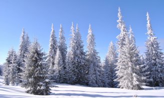 Cum va fi vremea în luna decembrie