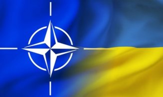 Ucraina face presiuni pentru a primi invitaţia de aderare la NATO (media)