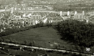 Fotografie aeriană a Parcului etnografic Romulus Vuia, 1966