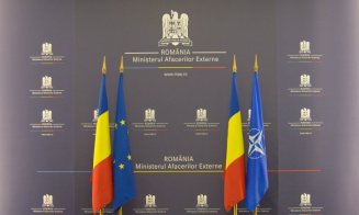 MAE, după desecretizarea documentelor CSAT: ''Ne-am informat aliaţii cu privire la această încercare de interferenţă externă''