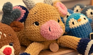 Târg caritabil la Cluj! 155 de copii au nevoie de ajutor pentru a merge la școală