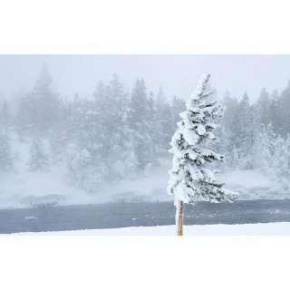 Vânt puternic în zona de munte a Clujului! Rafalele ating 120-130 km/h