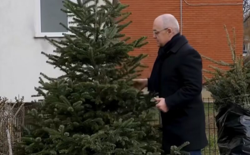 Ce facem cu pomii de Crăciun după Sărbători? Primăria îi ridică gratuit doar până în 15 ianuarie