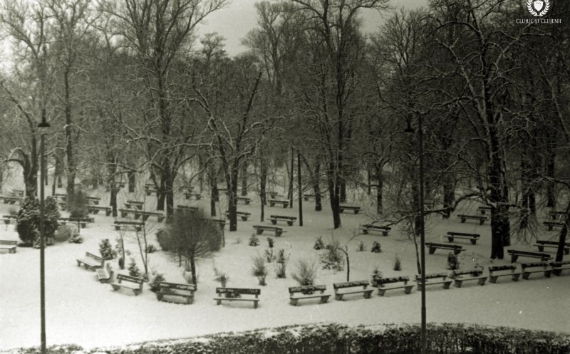 Iernile de altădată: Clujul anilor '50