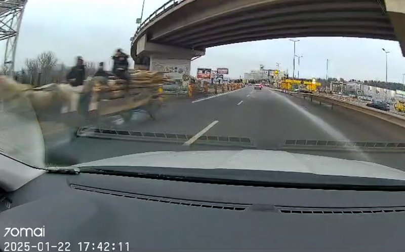 Cu căruţa pe CONTRASENS în traficul din Cluj / "Suceveanul ăla cu permisul suspendat a trecut la căruță?"