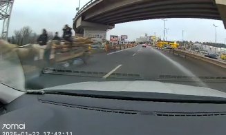 Cu căruţa pe CONTRASENS în traficul din Cluj / "Suceveanul ăla cu permisul suspendat a trecut la căruță?"