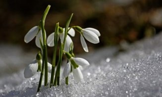 Se instalează deja primăvara? Prognoza meteo pe următoarele patru săptămâni