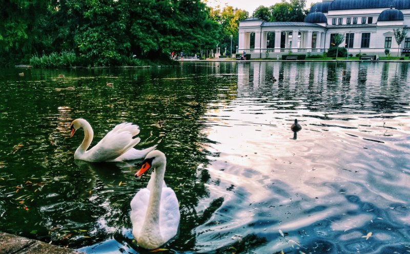 Premii de până la 5.000 de euro pentru un Cluj mai verde. Cine se poate înscrie