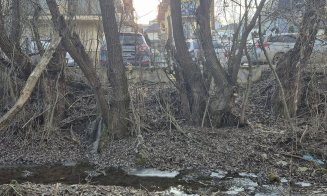 Inginerii acvatici pot tempera dezvoltarea imobiliară / Oferă spații publice verzi la râu, în loc de parcări, garduri şi deversări