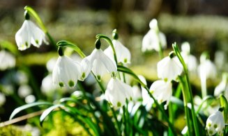 Săptămâna 24 februarie - 3 martie, ultima cu temperaturi mai mici. Ce urmează