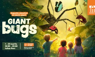 Expoziția educativă „Giant Bugs" aduce în Iulius Parc o lume nevăzută, mărită de mii de ori