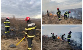 Incendii de vegetație devastatoare în județul Cluj: 12 intervenții ale pompierilor într-o singură zi