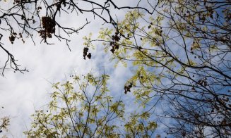 Vine primăvara! Prognoza meteo pe toată luna martie