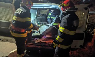 Un măgăruș a fost lovit mortal de o mașină pe un drum din Cluj: "L-au lăsat rezămat de gard. A murit sub ochii noștri…"