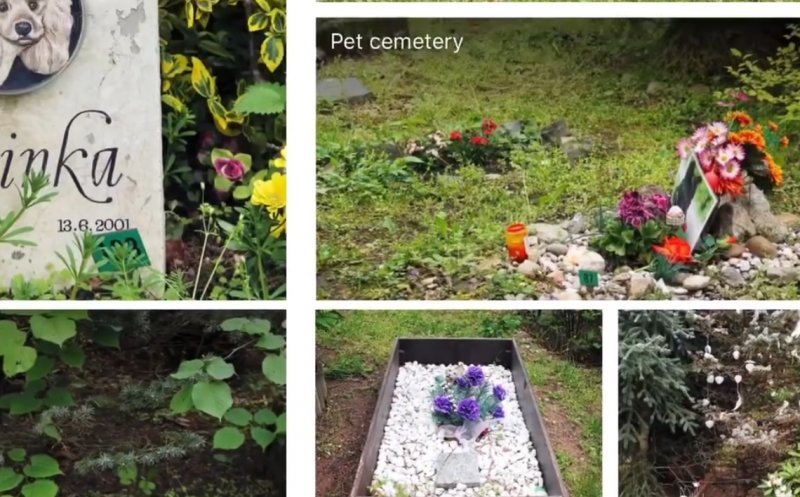Pădure-parc și cimitir de animale pe Valea Gârbăului
