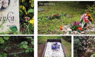 Pădure-parc și cimitir de animale pe Valea Gârbăului
