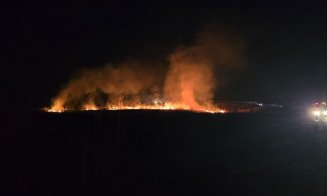 Incendiu de vegetație la Mărtinești