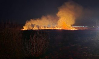 Incendiu de vegetație la Mărtinești