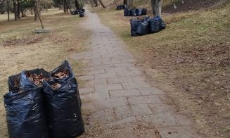 Zona Parc- Expo Transilvania a fost igienizată