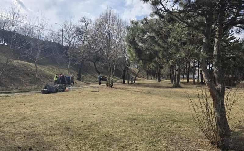 Zona Parc- Expo Transilvania a fost igienizată