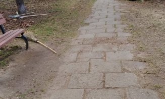 Zona Parc- Expo Transilvania a fost igienizată