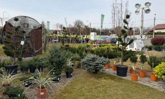 A venit primăvara la Garden Point by Eco Garden Construct, "hypermarket-ul" de plante de pe Calea Turzii