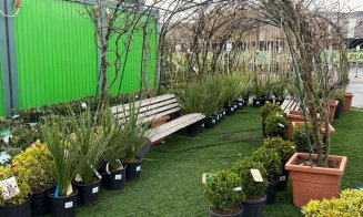 A venit primăvara la Garden Point by Eco Garden Construct, "hypermarket-ul" de plante de pe Calea Turzii