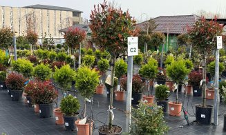 A venit primăvara la Garden Point by Eco Garden Construct, "hypermarket-ul" de plante de pe Calea Turzii