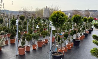 A venit primăvara la Garden Point by Eco Garden Construct, "hypermarket-ul" de plante de pe Calea Turzii