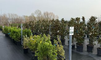 A venit primăvara la Garden Point by Eco Garden Construct, "hypermarket-ul" de plante de pe Calea Turzii