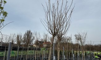 A venit primăvara la Garden Point by Eco Garden Construct, "hypermarket-ul" de plante de pe Calea Turzii