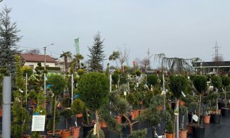 A venit primăvara la Garden Point by Eco Garden Construct, "hypermarket-ul" de plante de pe Calea Turzii