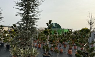 A venit primăvara la Garden Point by Eco Garden Construct, "hypermarket-ul" de plante de pe Calea Turzii