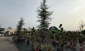 A venit primăvara la Garden Point by Eco Garden Construct, "hypermarket-ul" de plante de pe Calea Turzii