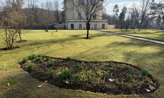 A venit primăvara la Garden Point by Eco Garden Construct, "hypermarket-ul" de plante de pe Calea Turzii