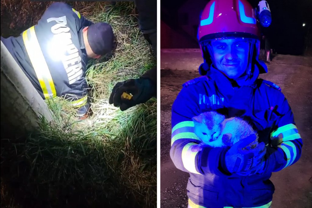 Pisică blocată într-o țeavă pe un șantier / Cum au salvat-o pompierii clujeni