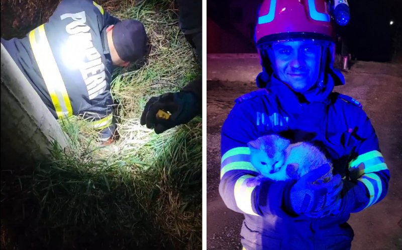 Pisică blocată într-o țeavă pe un șantier / Cum au salvat-o pompierii clujeni