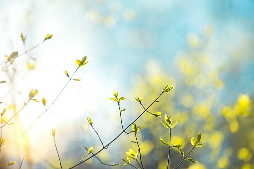 Cum va fi vremea în minivacanțele de Paște și de 1 Mai. Prognoza meteo pe 4 săptămâni