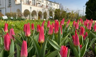 Duminica Floriilor, în Grădina Botanică din Cluj-Napoca. Vor fi 18 grade Celsius