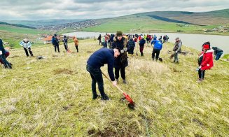 O localitate din Cluj devine mai verde: 200 de voluntari au plantat puieți de salcâm pentru viitoarea pădure