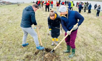 O localitate din Cluj devine mai verde: 200 de voluntari au plantat puieți de salcâm pentru viitoarea pădure