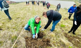 O localitate din Cluj devine mai verde: 200 de voluntari au plantat puieți de salcâm pentru viitoarea pădure