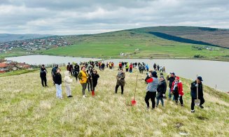 O localitate din Cluj devine mai verde: 200 de voluntari au plantat puieți de salcâm pentru viitoarea pădure
