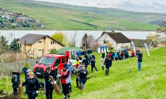 O localitate din Cluj devine mai verde: 200 de voluntari au plantat puieți de salcâm pentru viitoarea pădure
